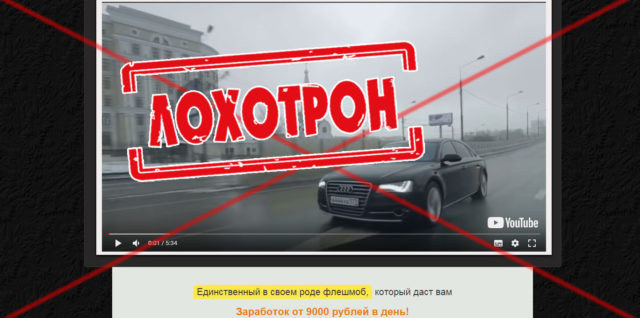 Лохотрон платформа Colibri или Colibri Corporation – отзывы о схеме развода